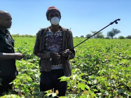  Mkaguzi Wa Pamba (W) Igunga Ndg. Venance Kankutebe Kutoka Bodi Ya Pamba Tanzania Akimpatia Elimu Ya Matumizi Sahihi Ya Kinyunyizi Mkulima Bw. Shija Mandalu Wa Kijiji Cha Ibutamisuzi Wilayani Igunga Mkoani Tabora Alipomtembelea Shambani Kwake Hivi Karibuni